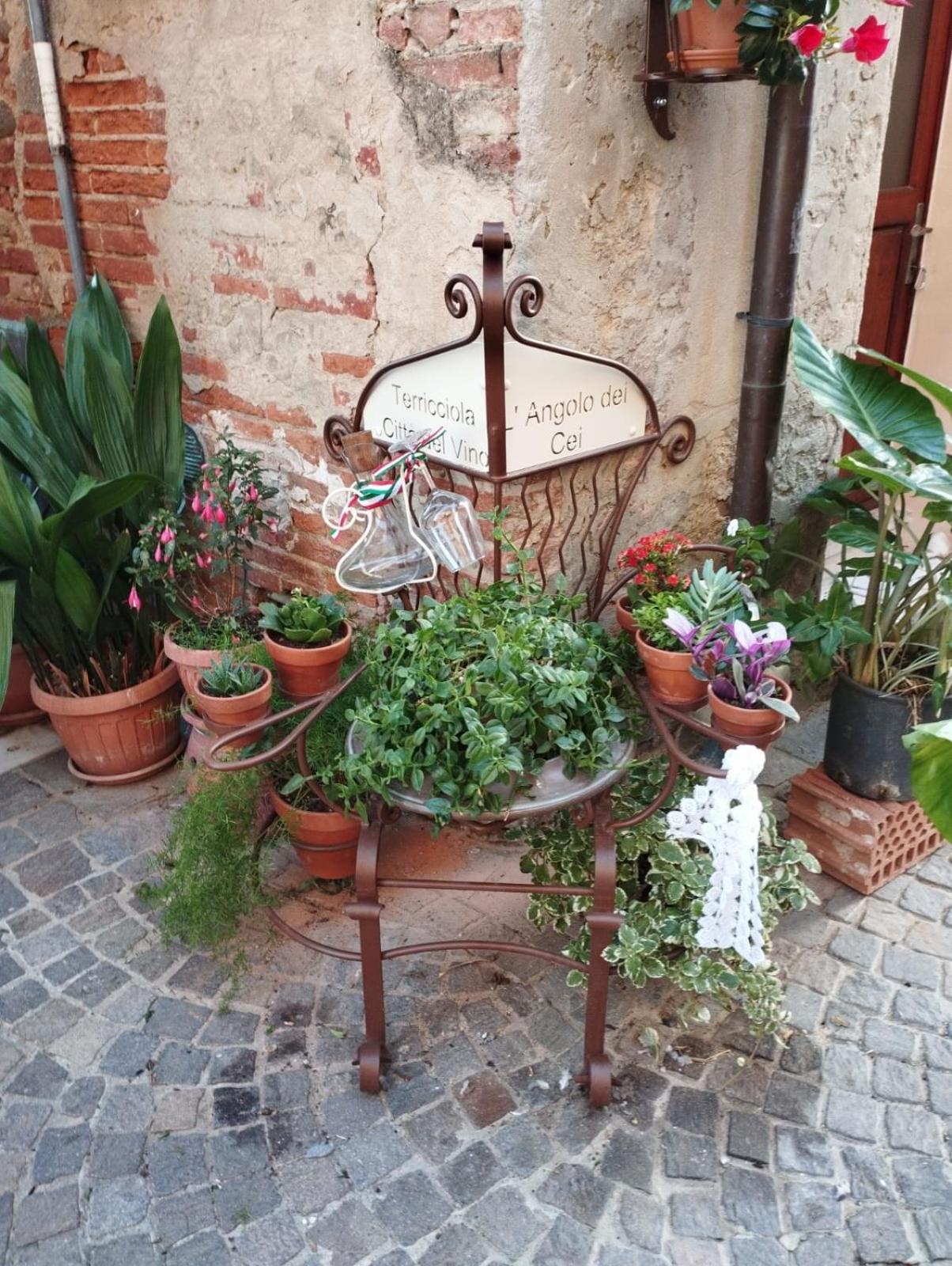 Angolo Della Cei Terricciola Exteriér fotografie